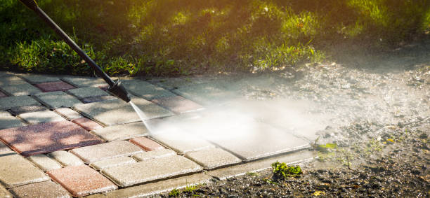 Best Vinyl Siding Pressure Washing in Glencoe, MN